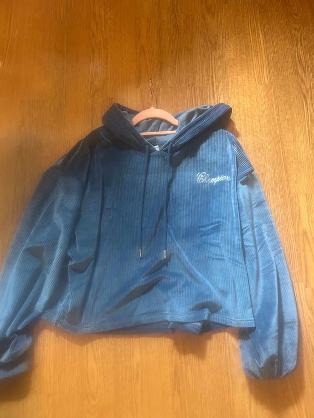 Champion Navy Blue Hoodie with Script Tag
